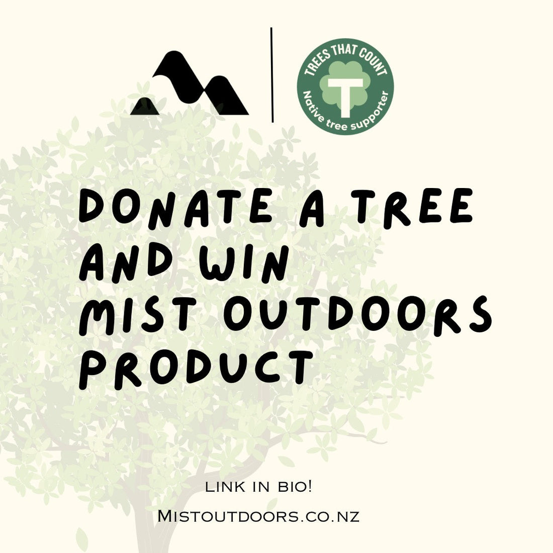 Donate and Win | Tree Planting Project 2026